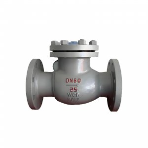 DN50 PN25 介質：甲胺，溫度：80℃止回閥